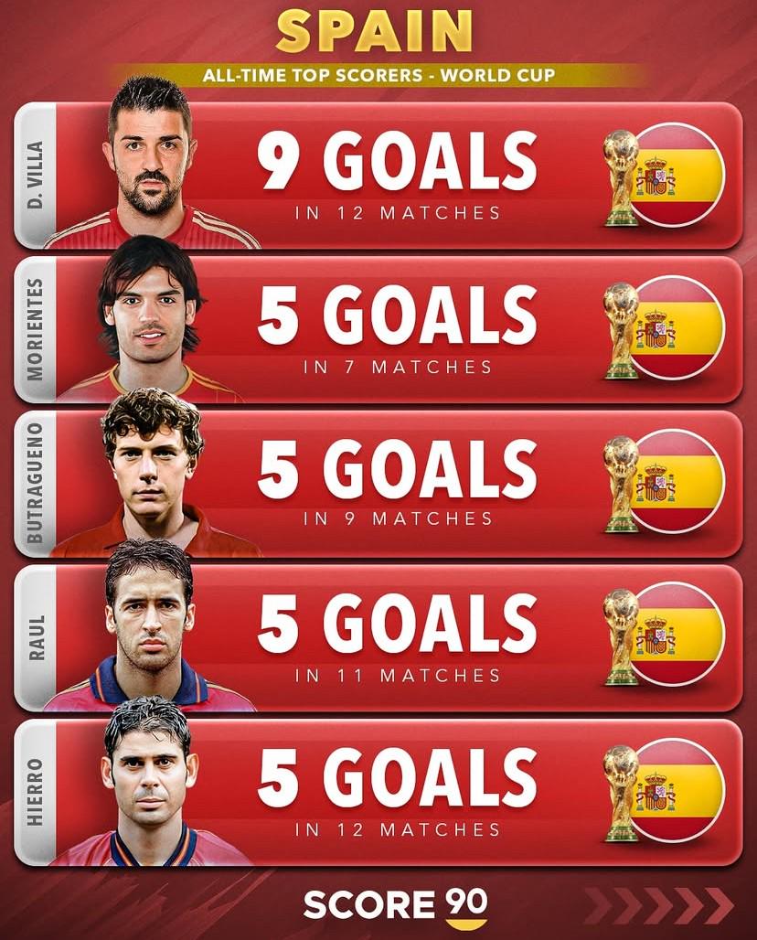 net, 博比 net, 博比